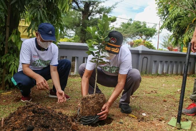 Read more about the article Tanam Pohon Banyak Manfaat