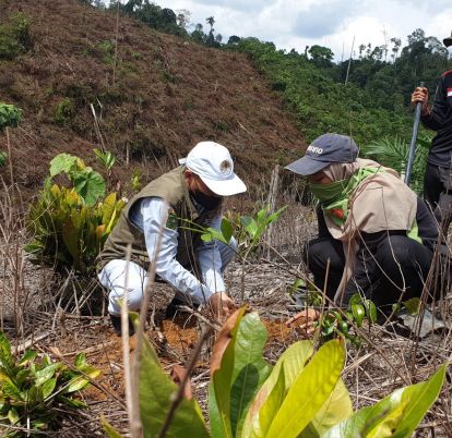 Read more about the article Menjaga Kelestarian Hutan Indonesia Demi Masa Depan